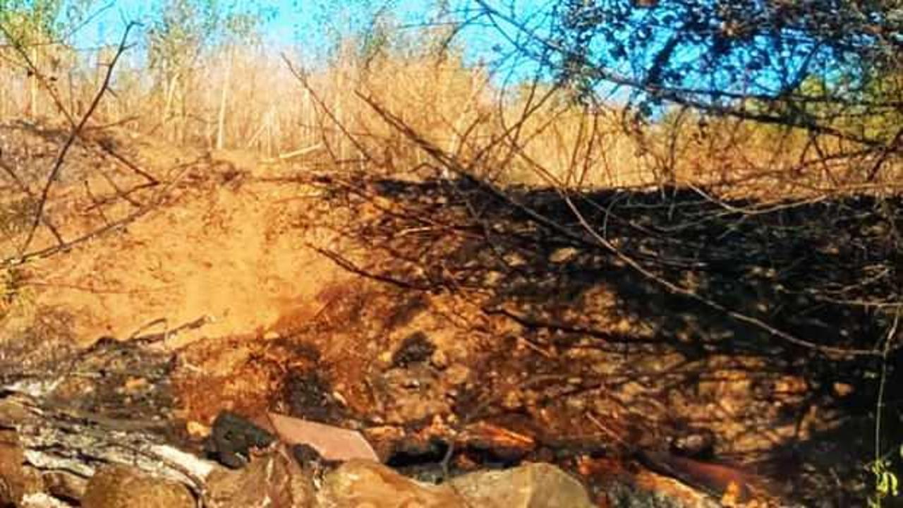 Bah&ccedil;esinde yaktığı ateşin kurbanı oldu! Alevlerin arasında kalarak can verdi