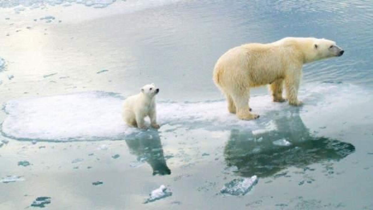 Bilim insanları 210 milyar dolara kutuplarda eriyen buzları yeniden dondurmak istiyor