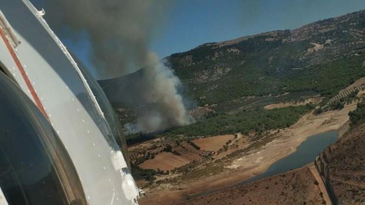 İzmir'de orman yangını: Havadan ve karadan müdahale başladı