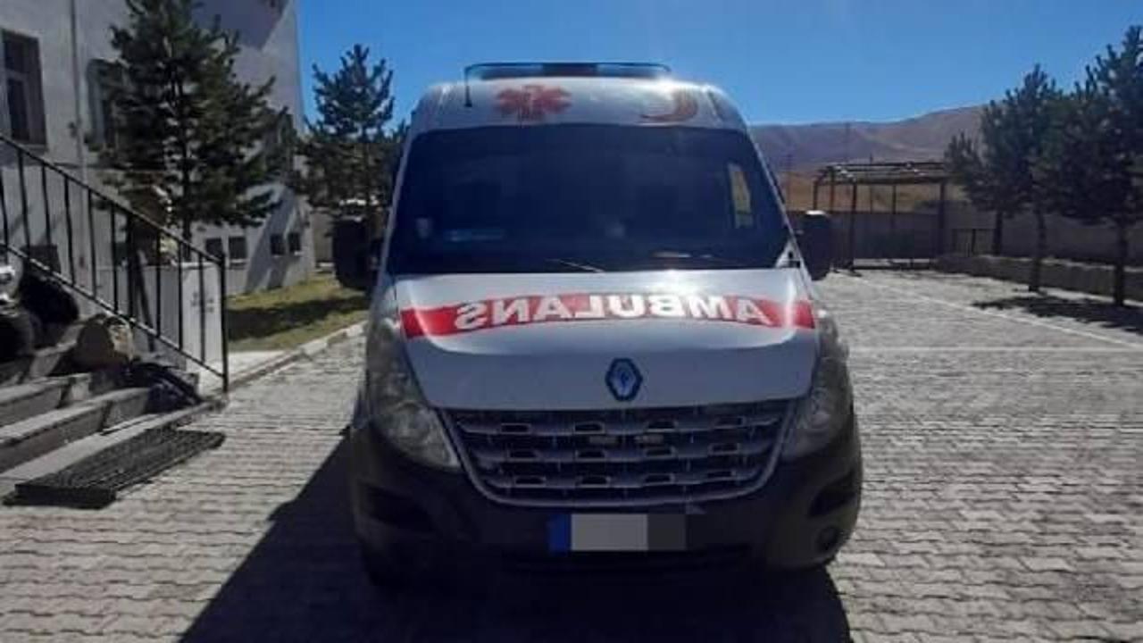 Ambulanstan 12 kaçak göçmen çıktı