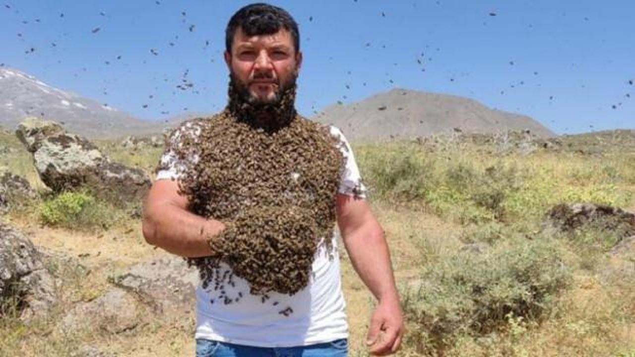 Binlerce arıyı çıplak vücudunda taşıyor