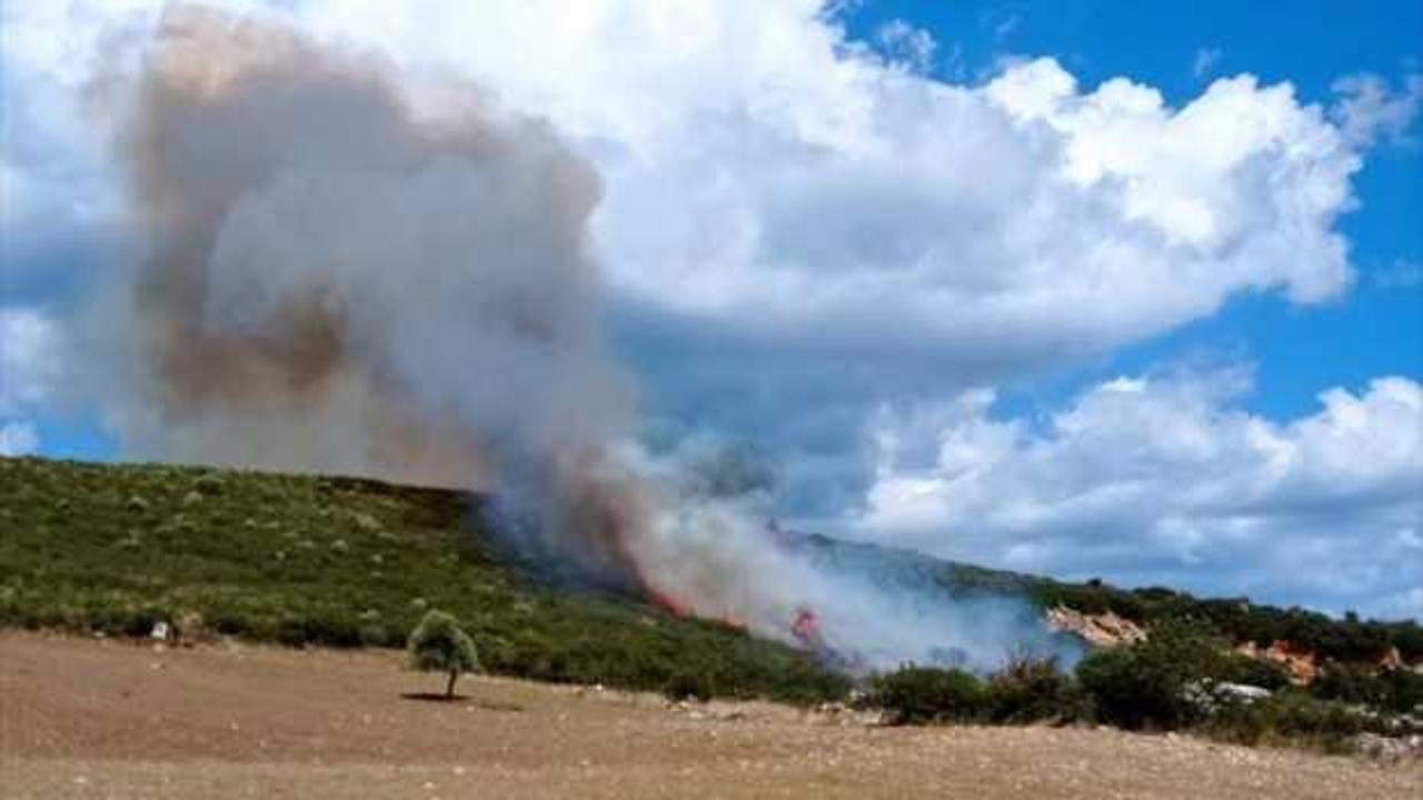 Çanakkale'de orman yangını! Çok sayıda ekip sevk edildi
