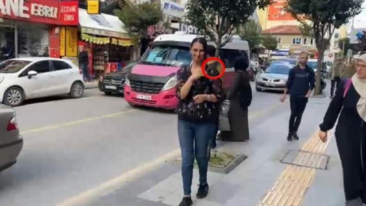 G&ouml;renler hayrete d&uuml;ş&uuml;yor! Yerde bulduğu ebabil yanından ayrılmıyor