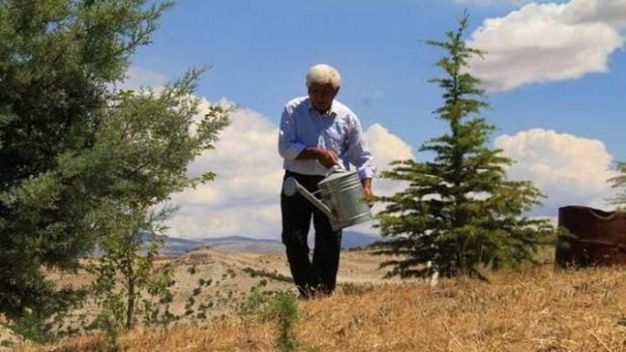 30 bin ağaç diken 'Toprak dede' ödüle layık görüldü