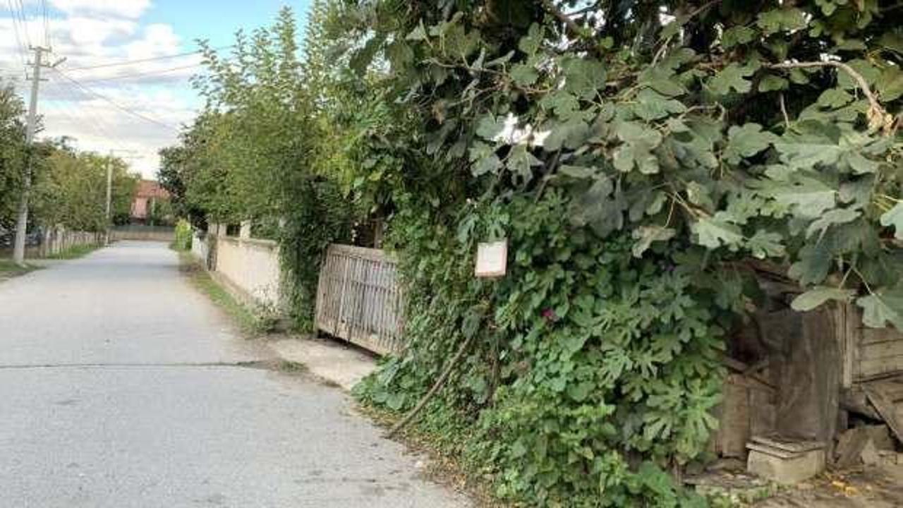 Bu bah&ccedil;enin &ouml;n&uuml;nden ge&ccedil;en canı istediği kadar meyve yiyebiliyor