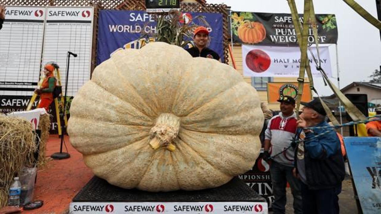 G&ouml;renler şaşkına d&ouml;nd&uuml;: 1 ton 161 kilo bal kabağı yetiştirerek rekor kırdı!