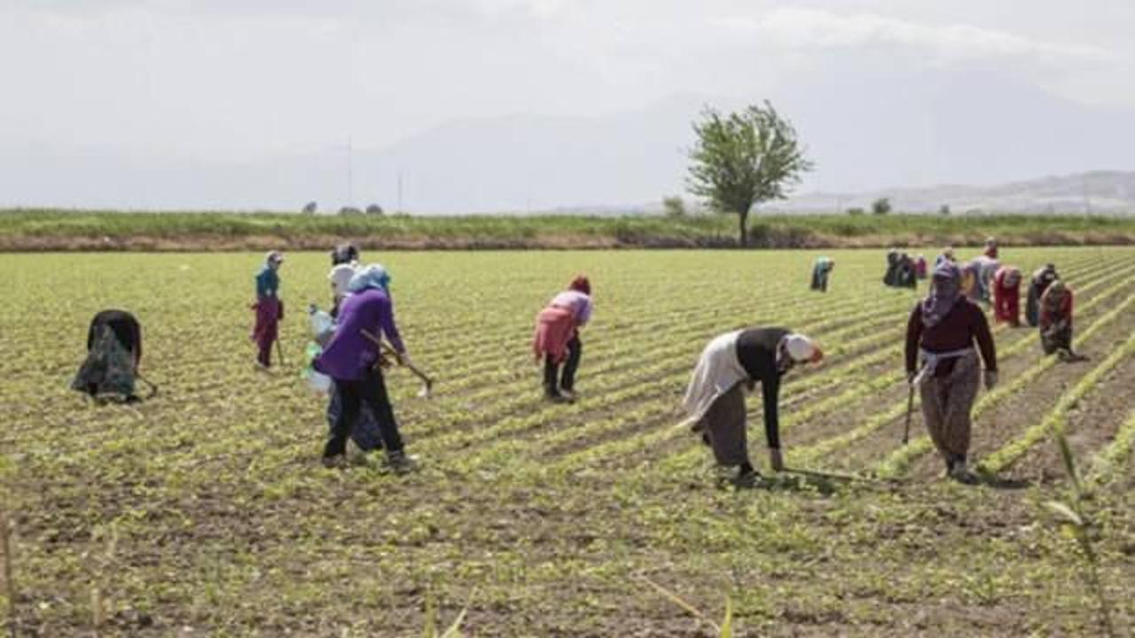  Kadın &ccedil;ift&ccedil;ilere 10 milyar TL'lik destek 