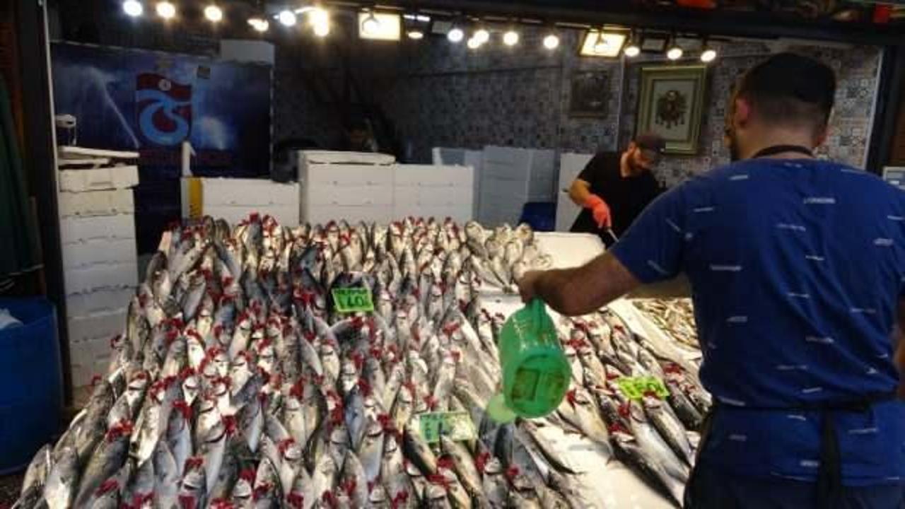 Beklenen palamut g&ouml;&ccedil;&uuml; ger&ccedil;ekleşti