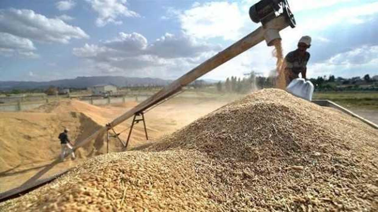 Buğday fiyatları 3 haftalık dip seviyeden yükseldi