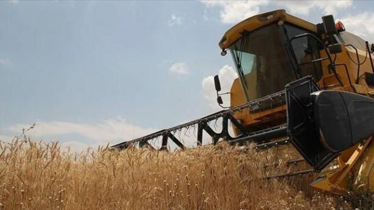 TMO'nun un ve yem reg&uuml;lasyonu &ccedil;alışması s&uuml;recek