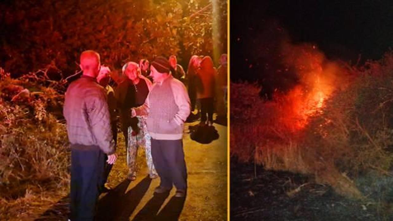 İzmir'de köylüler nöbette! 6 köyde zeytin bahçelerinde esrarengiz yangın!