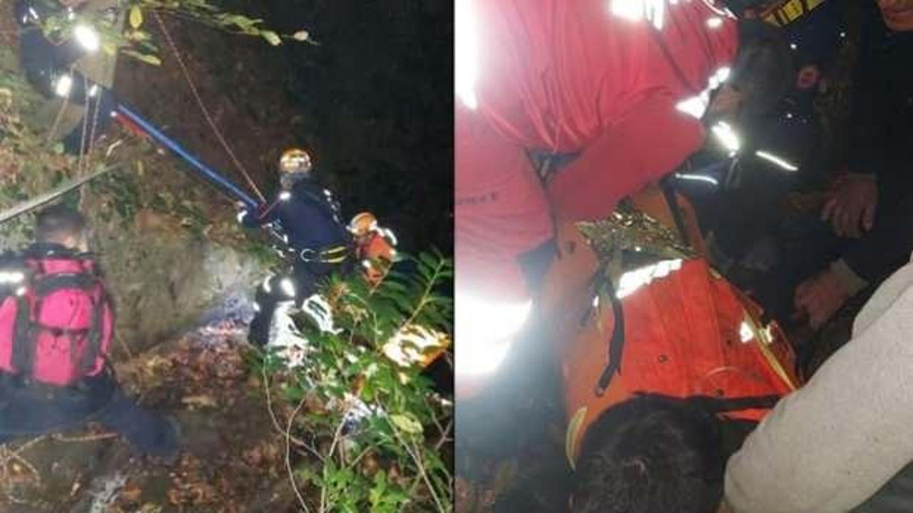 Kestane toplamaya giden kadın hayatının şokunu yaşadı