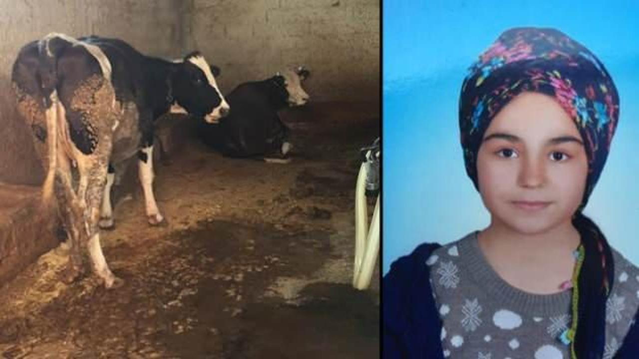Süt sağmak isteyen liseli kızın feci ölümü