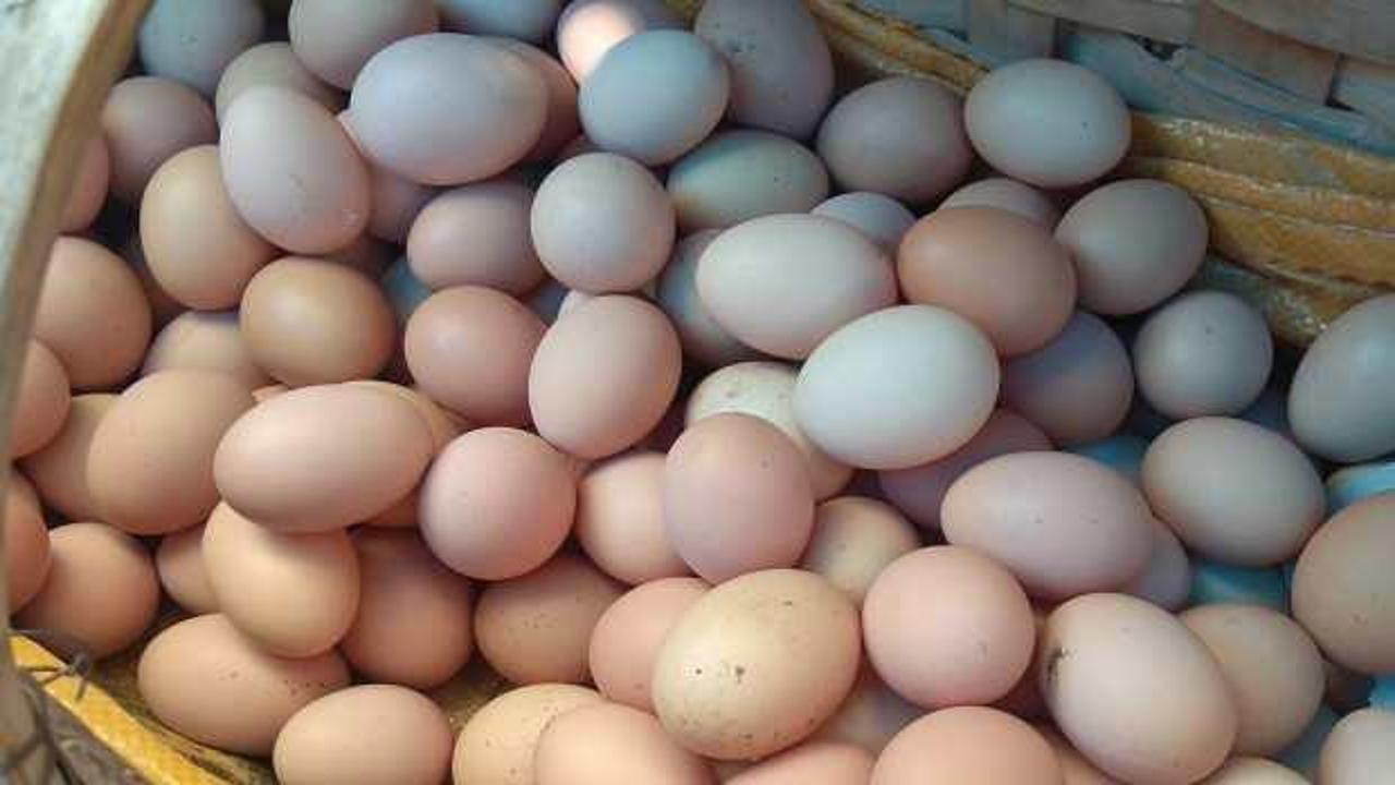 Kuş gribi salgını ve enflasyon: ABD'de yumurta fiyatları uçtu