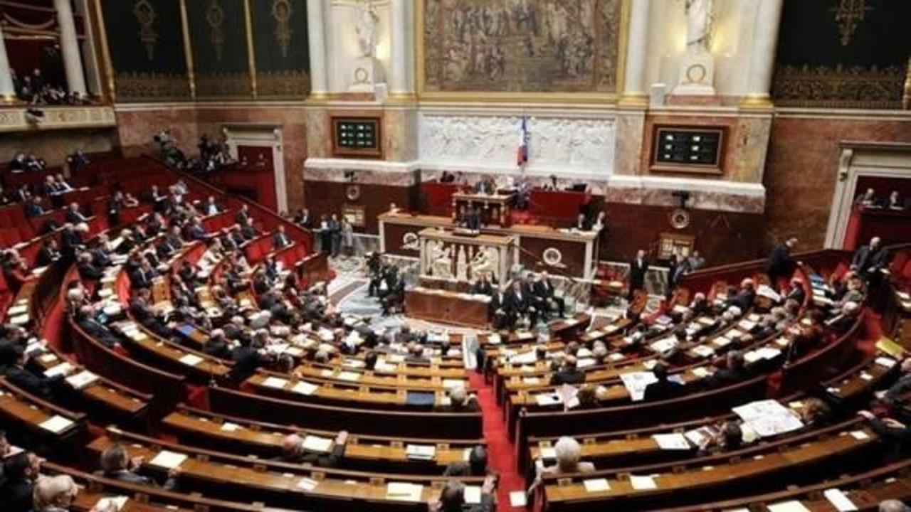 Fransız vekil Fournas'a "ırkçılık" cezası: 15 gün uzaklaştırma, maaşında kesinti