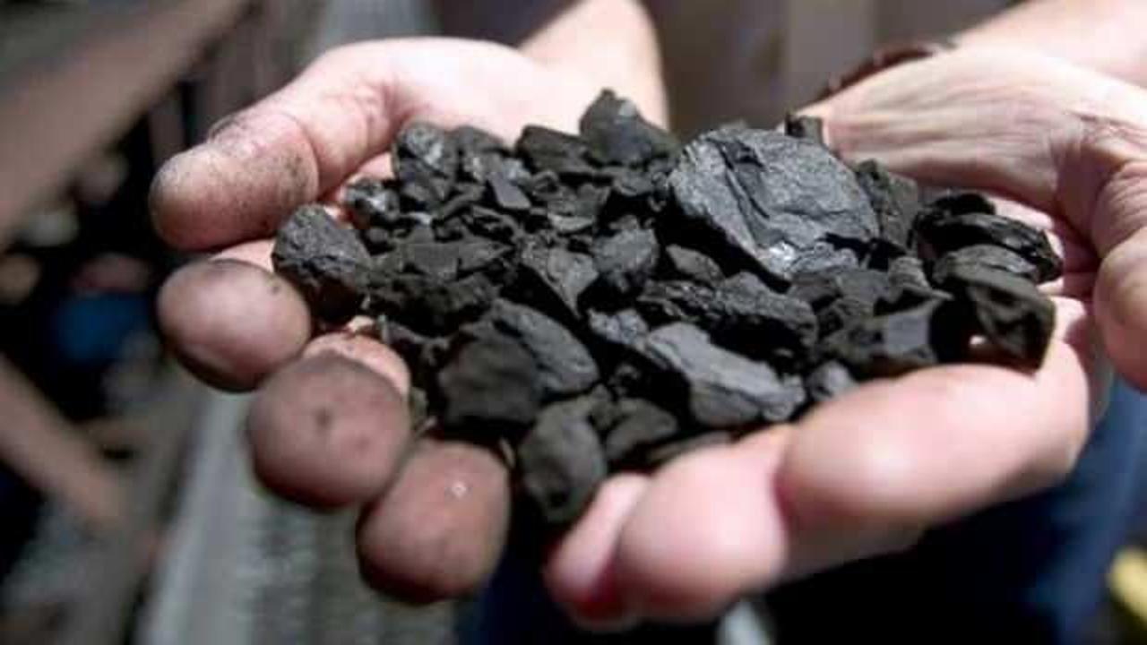 Kömür satışında tavan fiyat uygulayacak: Polonya'da başladı