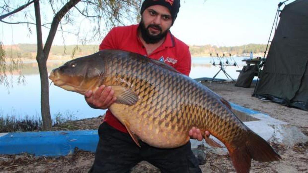 Bilecik'te yakalandı! T&uuml;rkiye'nin en b&uuml;y&uuml;ğ&uuml;...