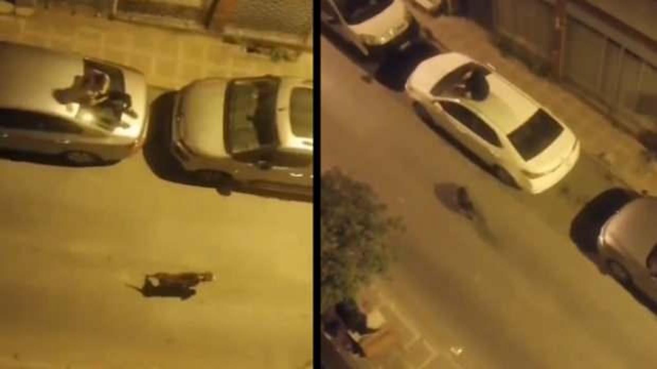 İstanbul’da pitbull dehşeti: Vatandaşlar korkudan otomobillerin üzerine çıktı