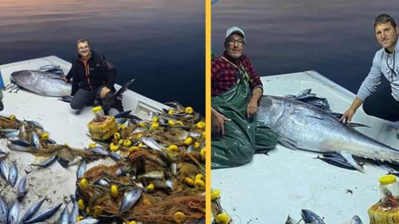 Marmara Denizi'nde balık&ccedil;ı ağına 150 kilogram ağırlığında devasa orkinos takıldı!