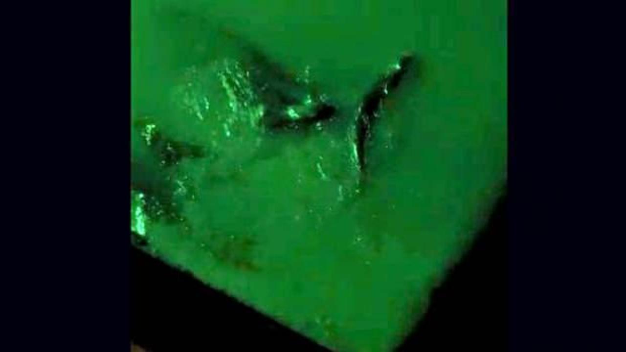 Amasya'daki Yeşilırmak'ta nesli t&uuml;kenme tehlikesinde olan su samuru ailesi g&ouml;r&uuml;ld&uuml;!