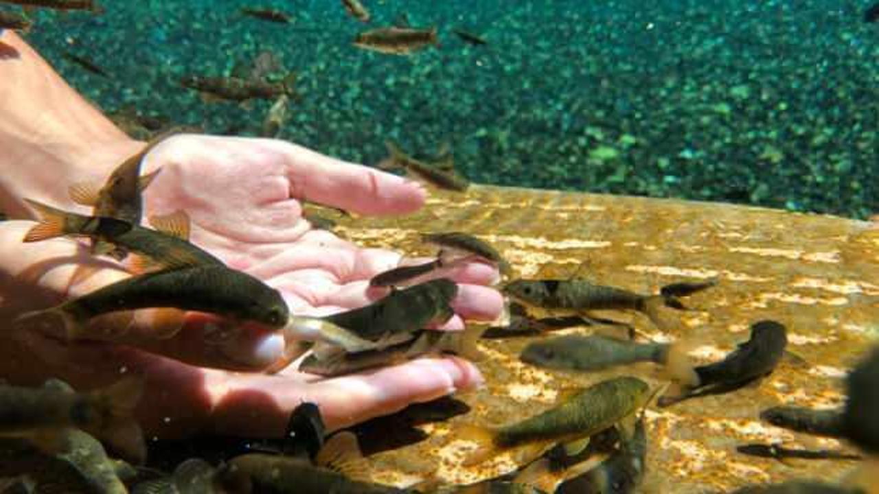 D&uuml;nyada sadece Sivas&rsquo;ta bulunuyor! Bu kaplıca şifa arayanların uğrak yeri