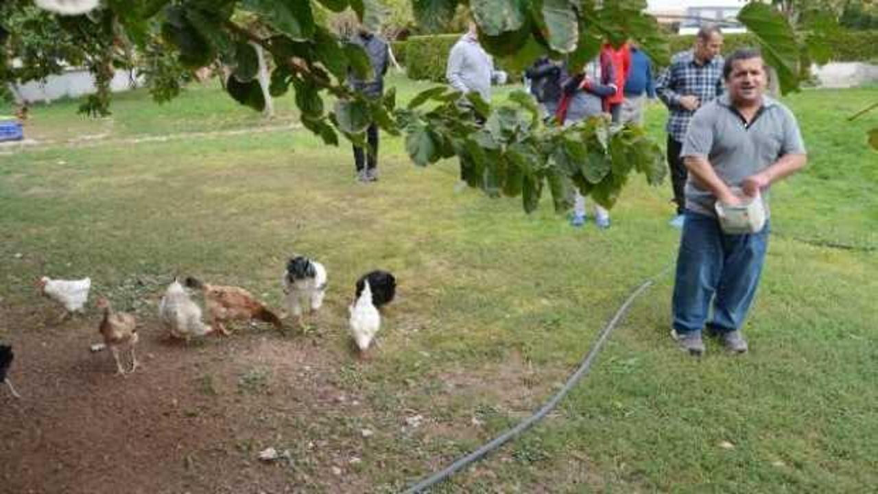 Hastane bah&ccedil;esinde tanıştığı hemşire hayatını değiştirdi
