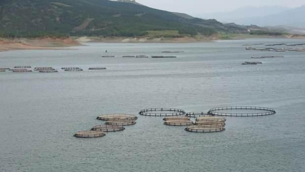 Tokat&rsquo;tan Rusya&rsquo;ya somon ihracatı