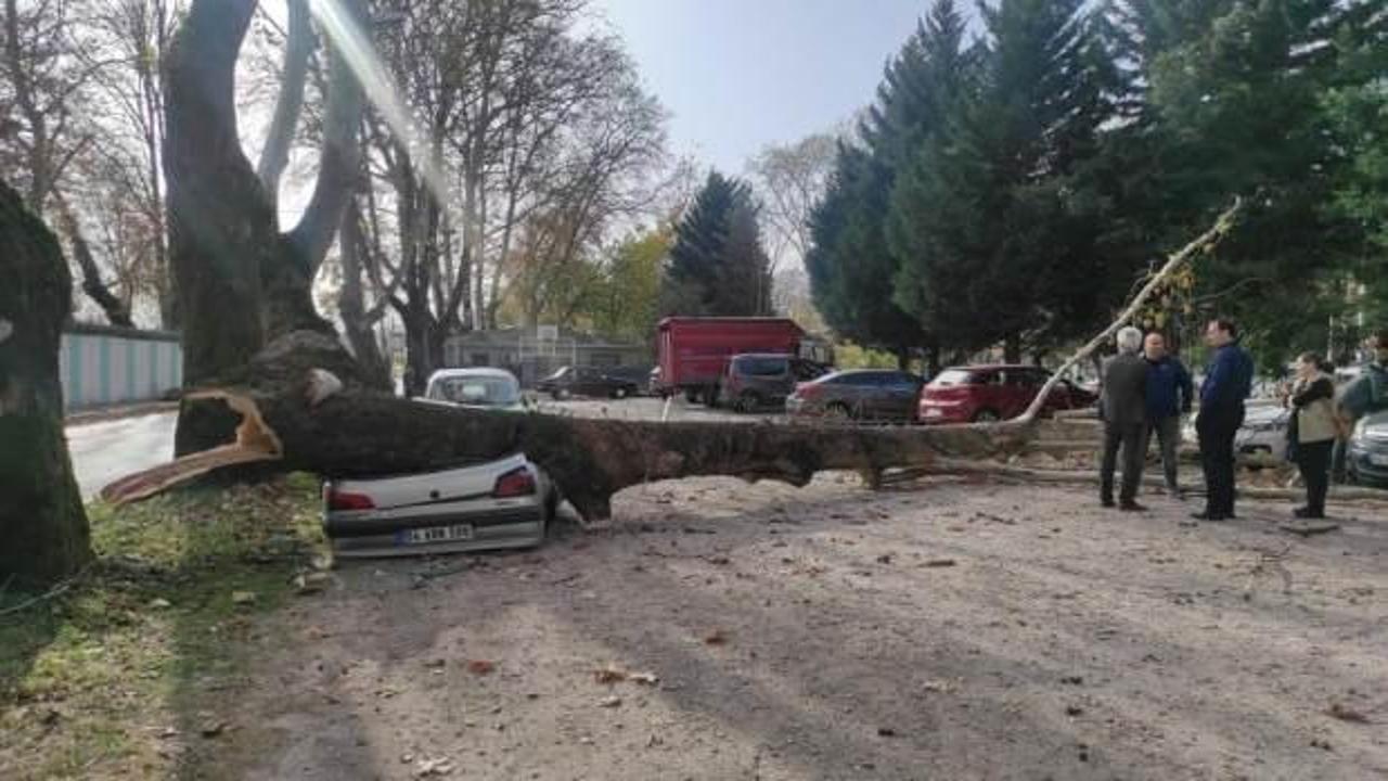 Dakikalarla faciadan d&ouml;n&uuml;ld&uuml;! Aracını bırakıp okula gitti, sonrası korkun&ccedil;