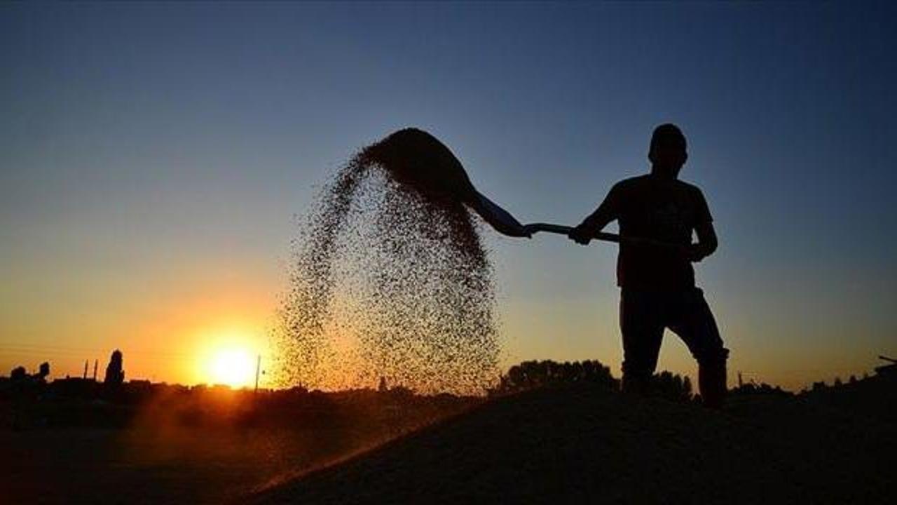 Destek &ouml;demeleri &ccedil;ift&ccedil;ilerin hesaplarına yatıyor