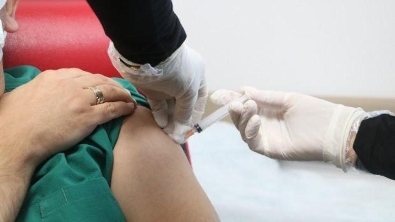 DMO harekete geçti... Sağlık Bakanlığı'na 1,5 milyon doz kuduz aşısı! 