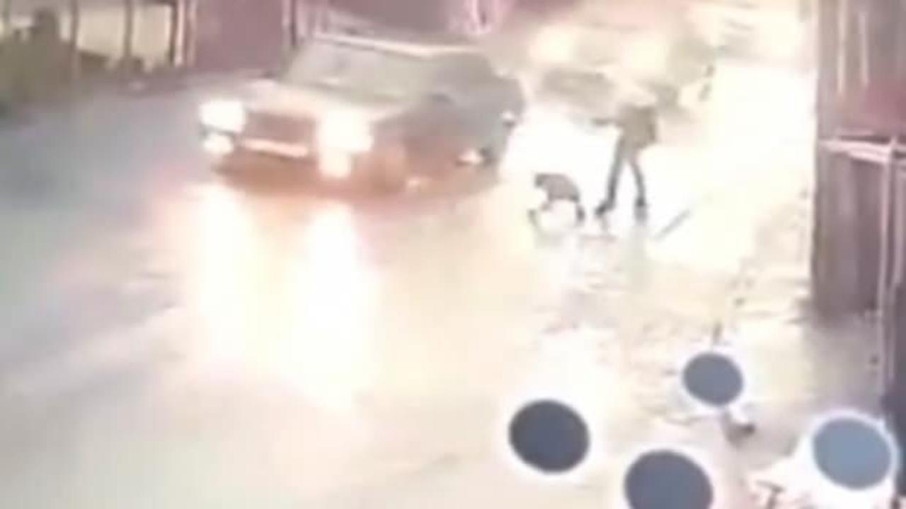 İstanbul'da 10 yaşındaki çocuğa pitbull saldırdı!