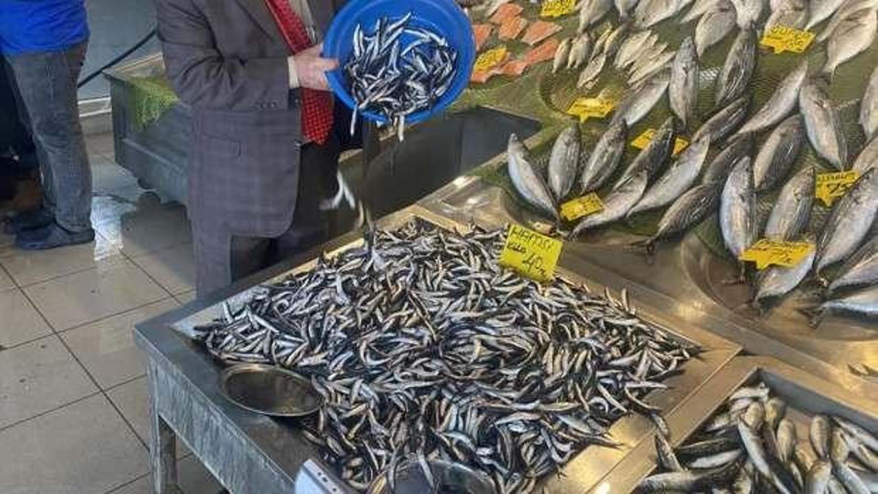 Balık bolluğu tezgaha yansıdı: Fiyatlar yarı yarıya düştü