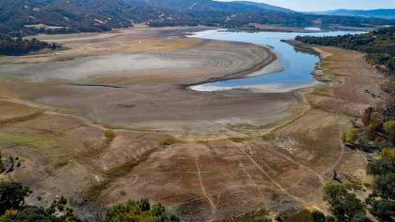 California'da kuraklık alarmı... 3 milyar dolarlık mahsul geliri kaybı
