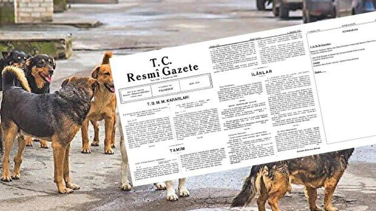 13 Haziran 1932 tarihli Resmi Gazete: Sahipsiz olan bütün köpekler itlaf edilecek