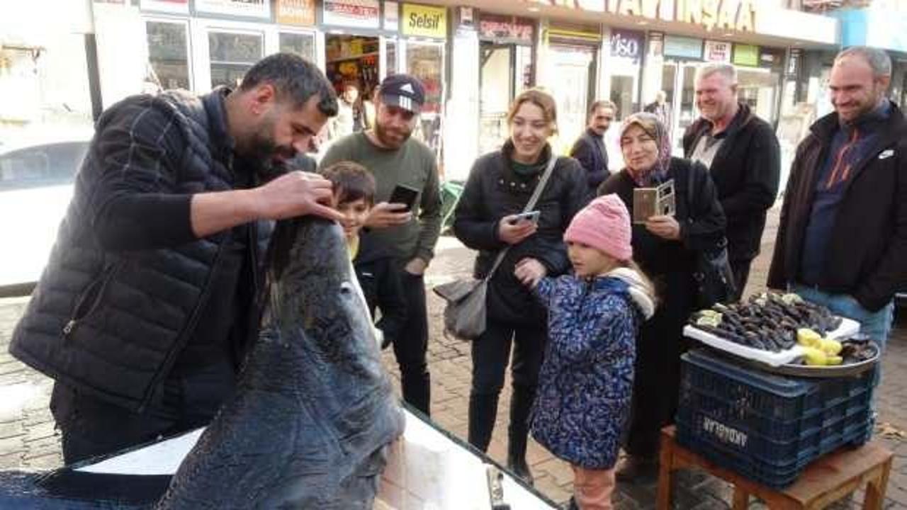 Bing&ouml;l&rsquo;de 3 metrelik k&ouml;pek balığı g&ouml;renleri şaşkına &ccedil;evirdi