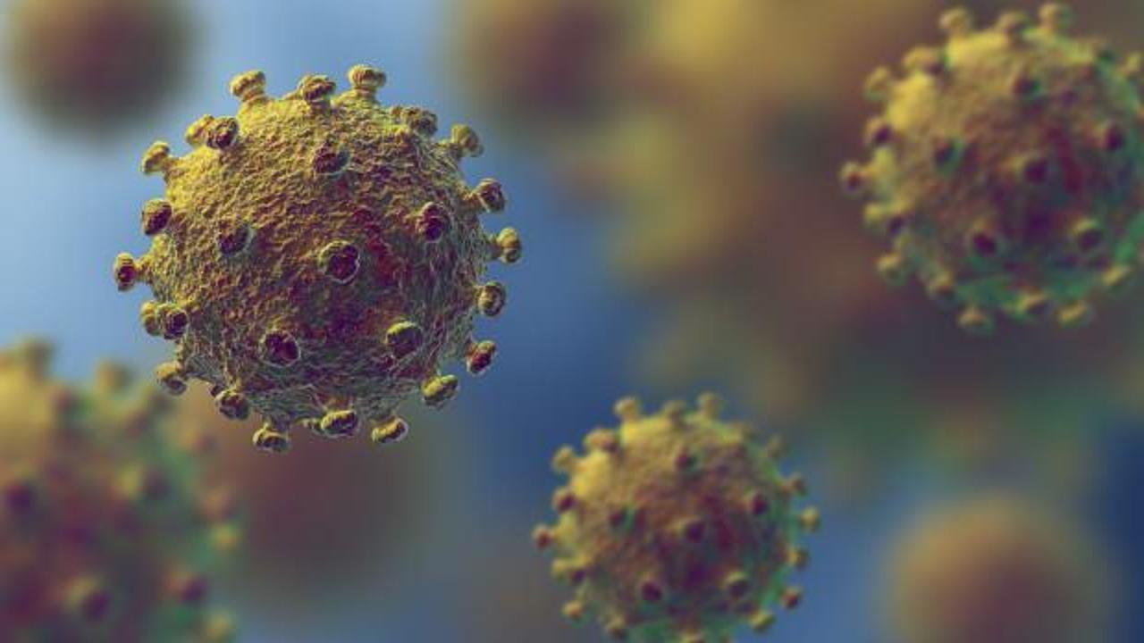 Dünyayı sarsan 'virüs' iddiası: ABD fonuyla üretildi, pandemiden 2 yıl önce sızdırıldı!