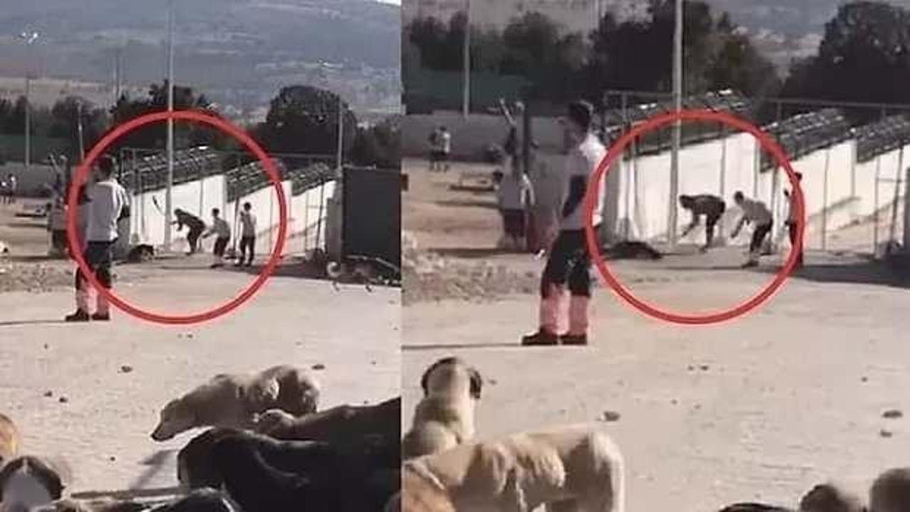 Hayvan barınağındaki g&ouml;r&uuml;nt&uuml;ler tepki &ccedil;ekmişti: İstenen ceza belli oldu