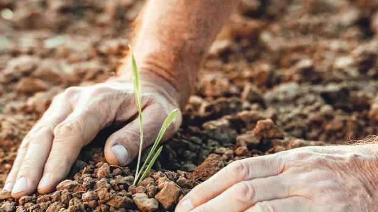 Tarım ÜFE kasımda aylık bazda yüzde 7 arttı