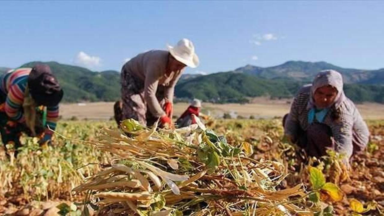Çiftçi Kayıt Sistemi başvuruları 31 Aralık'ta sona erecek