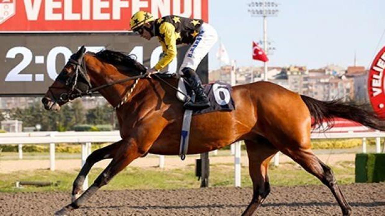 Halis Karataş 7 bininci yarışını kazandı