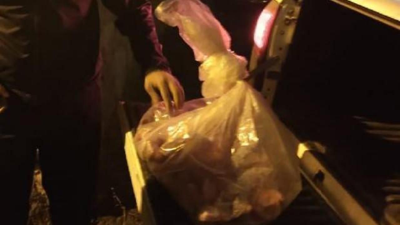 Şemdinli'de yaban keçisi avına 250 bin lira ceza