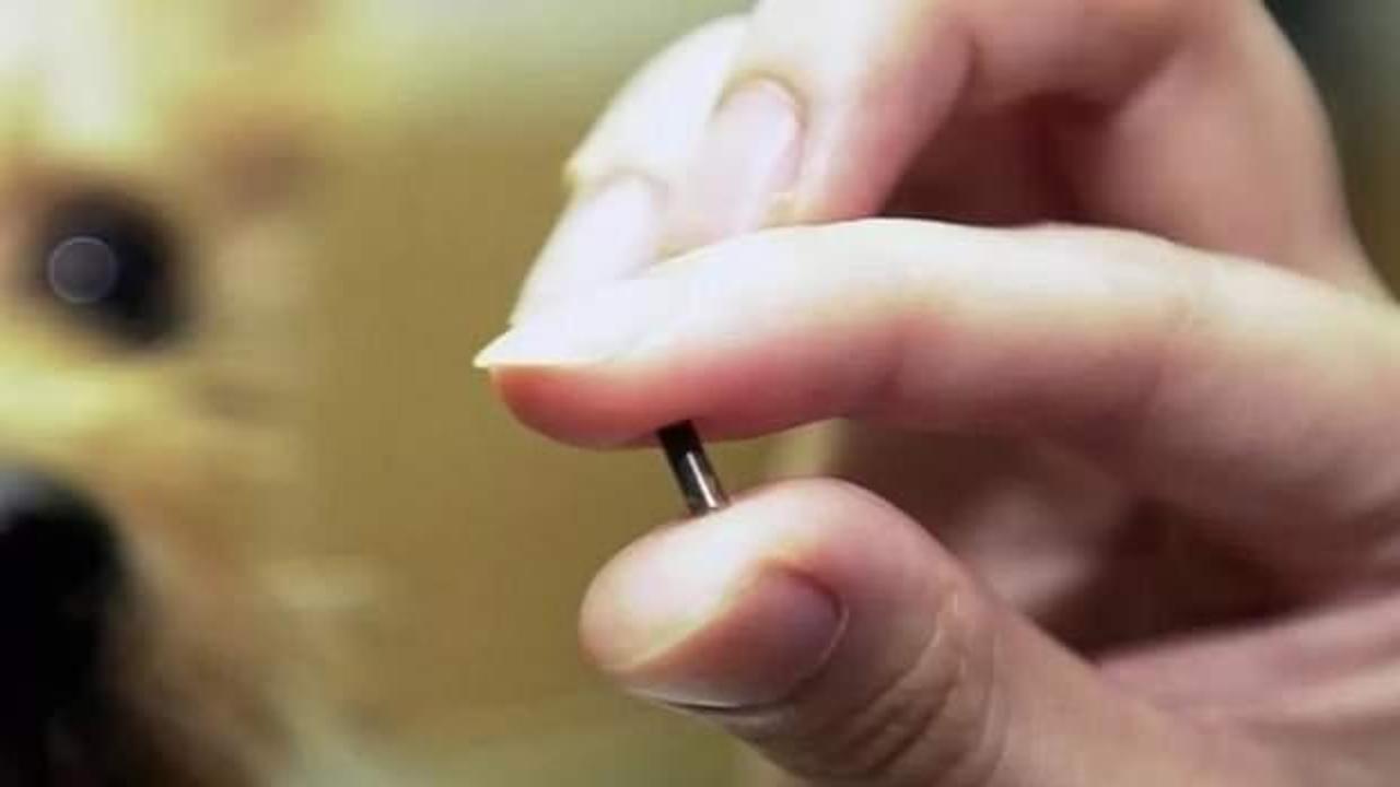 Bakan Kirişci duyurdu! &Ccedil;ip krizi yok