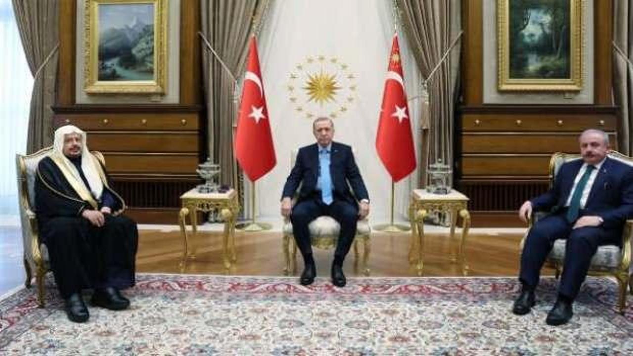 Başkan Erdoğan'dan kritik kabul