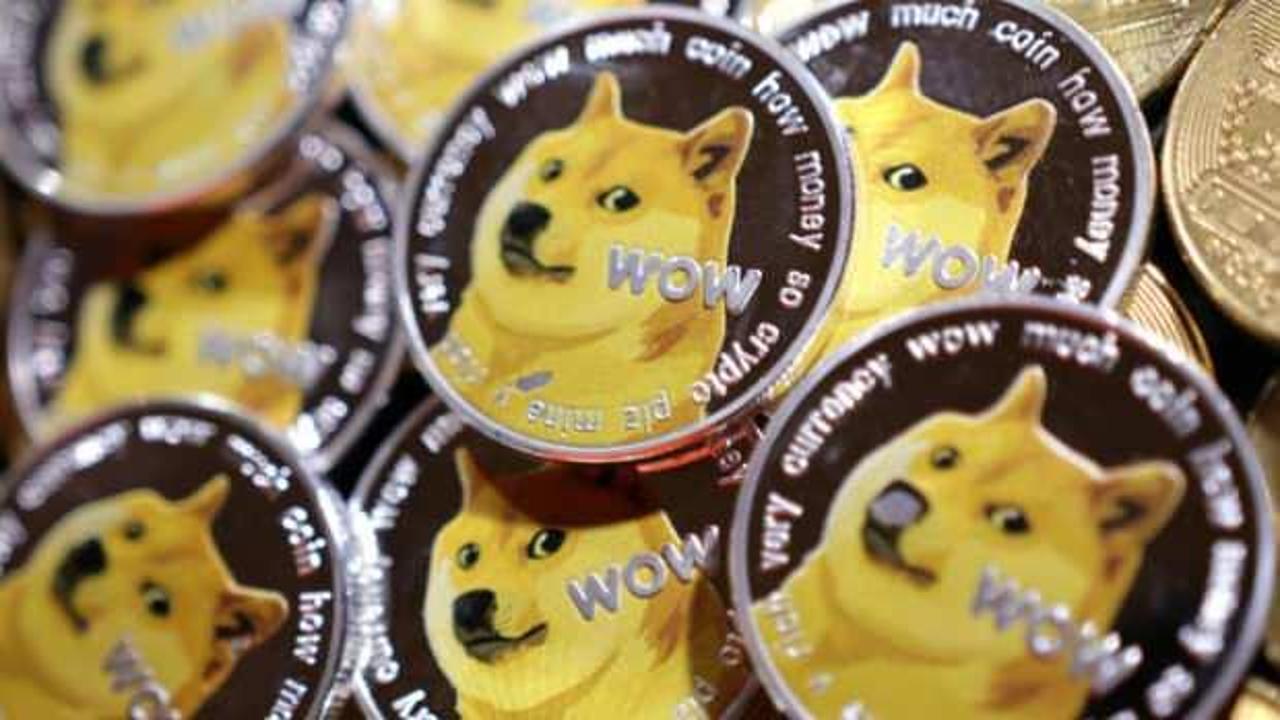 'Dogecoin'in ilhamı olan köpek kansere yakalandı