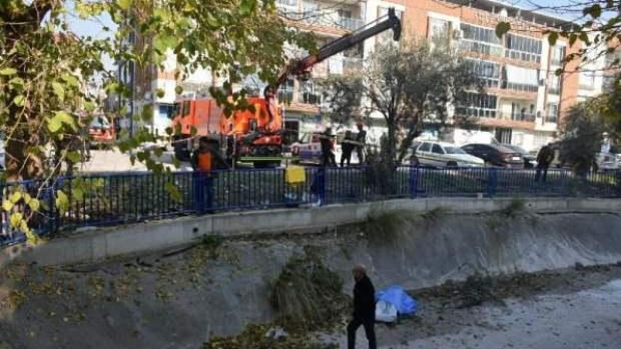 Zeytin toplamak isterken canından oldu
