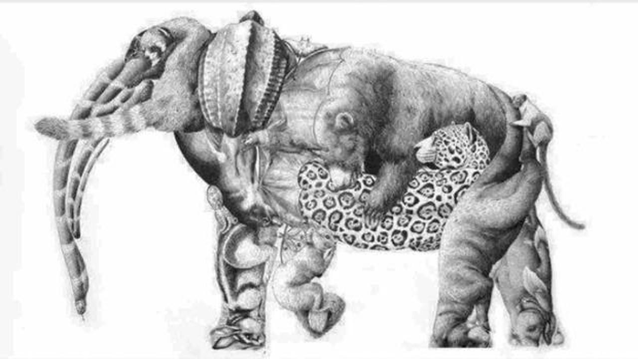 Matruşka gibi zeka testi: 15 saniyede filin içinde kaç hayvan göreceksiniz?