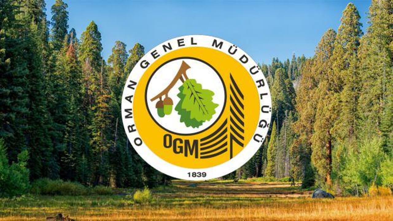 OGM en az lise mezunu personel alımı devam ediyor! Orman Genel Müdürlüğü başvuru ekranı ve şartları