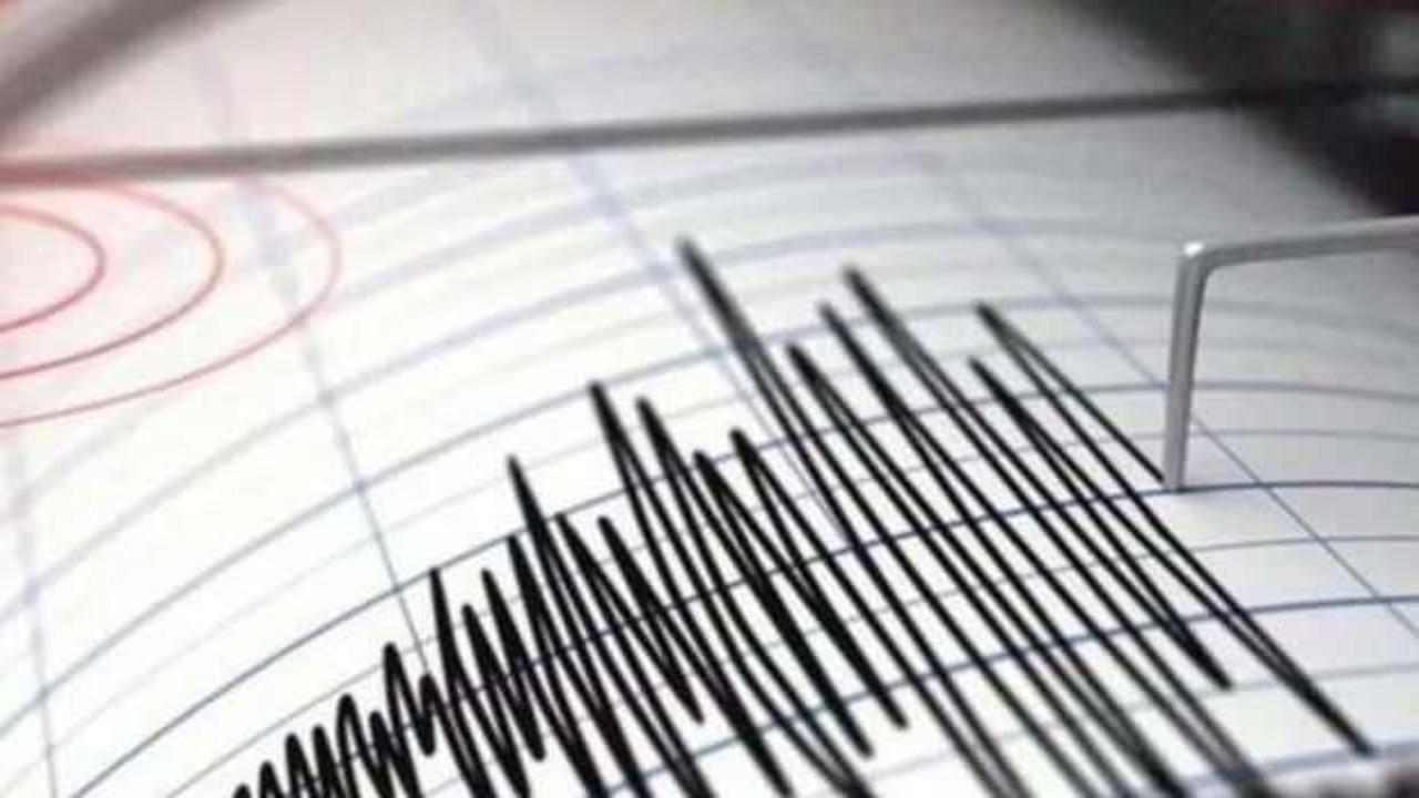 Vanuatu'da 7 büyüklüğünde deprem! Tsunami alarmı verildi