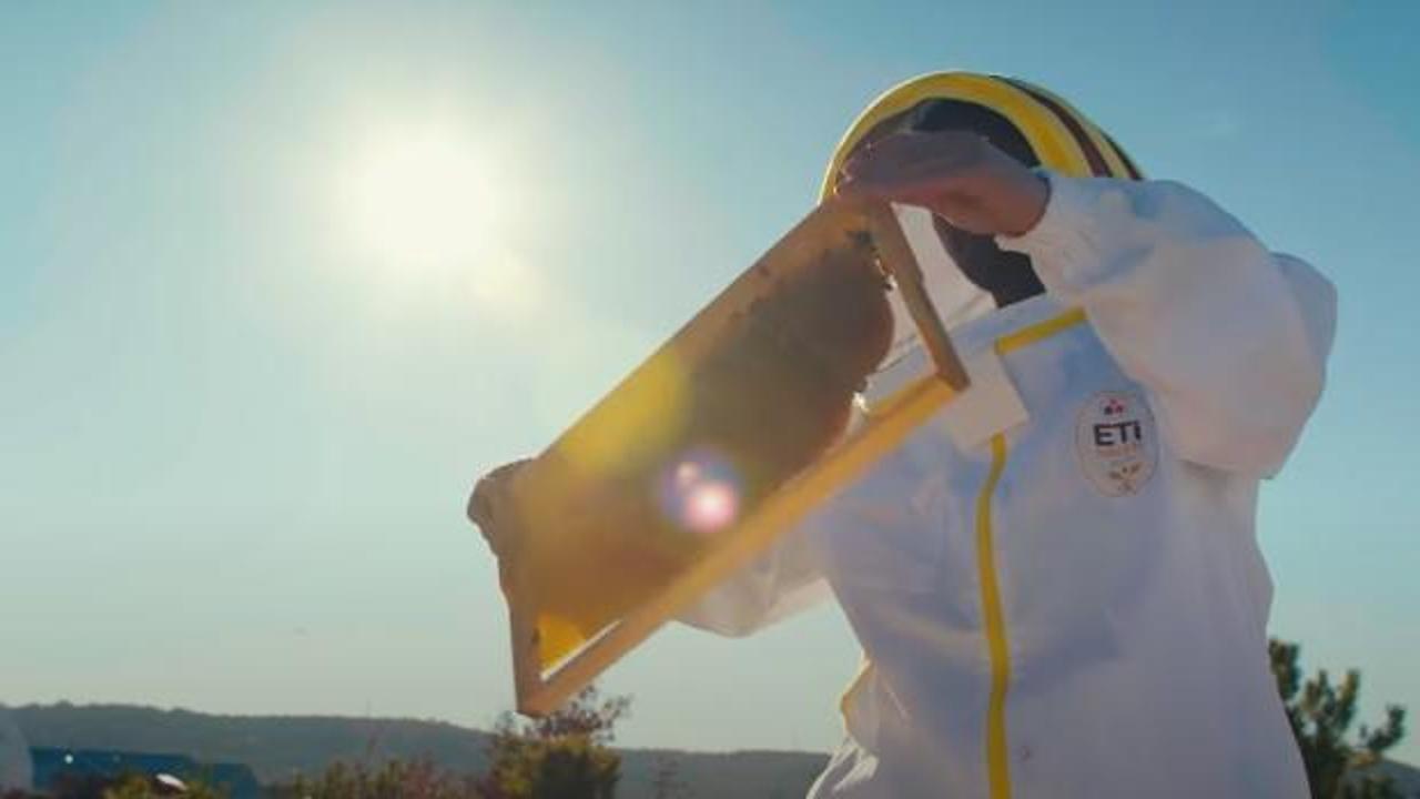 Eti Maden’den arıcılığa teşvik için “Bal Gibi Madencilik” projesi