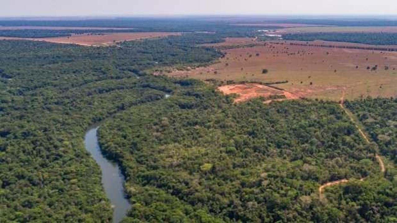 Amazonlarda, günde 3 bin futbol sahası büyüklüğünde orman yok edildi